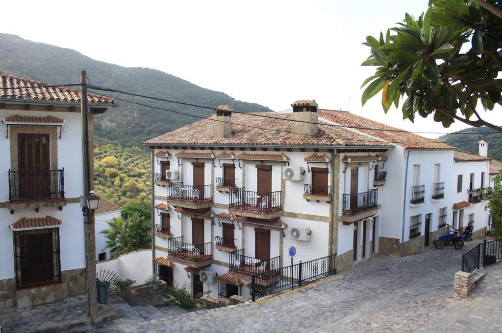 El Mirador *